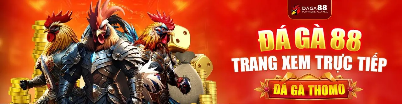 Đá gà trực tuyến 789live chính thức, sân đấu kịch tính