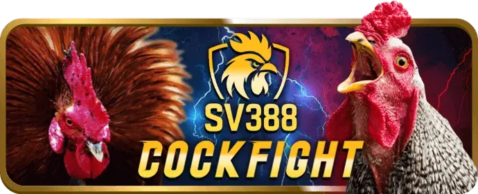 Hỗ trợ khách hàng 789live chính thức